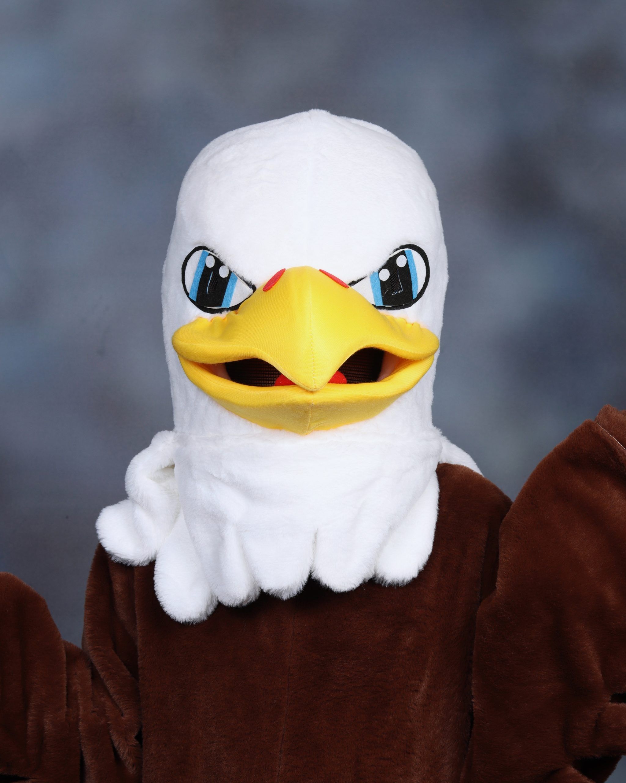 Eddie The Eagle Mascot